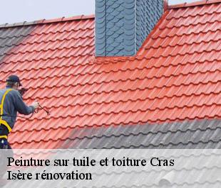 Peinture sur tuile et toiture  cras-38210 Isère rénovation