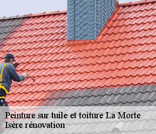 Peinture sur tuile et toiture  la-morte-38350 Isère rénovation