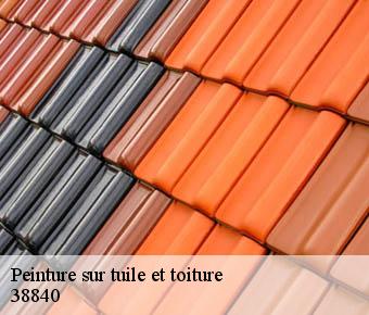 Peinture sur tuile et toiture  38840