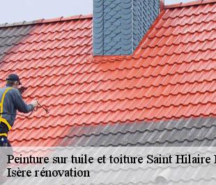 Peinture sur tuile et toiture  saint-hilaire-du-rosier-38840 Isère rénovation