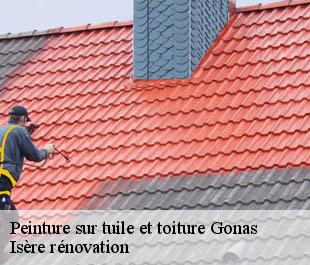 Peinture sur tuile et toiture  gonas-38290 Isère rénovation