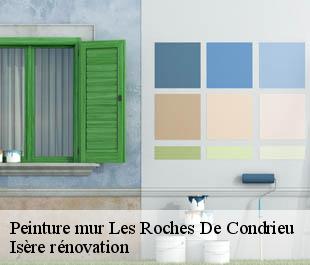 Peinture mur  les-roches-de-condrieu-38370 Isère rénovation