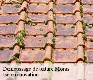 Demoussage de toiture  moras-38460 Isère rénovation