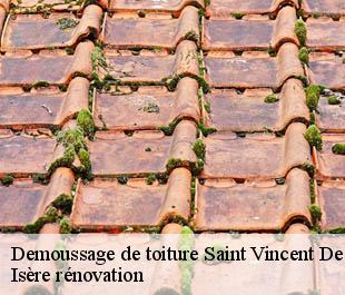 Demoussage de toiture  saint-vincent-de-mercuze-38660 Isère rénovation