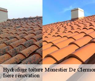 Hydrofuge toiture  monestier-de-clermont-38650 Isère rénovation